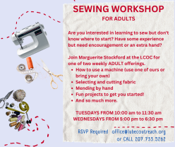 past workshops - sewing